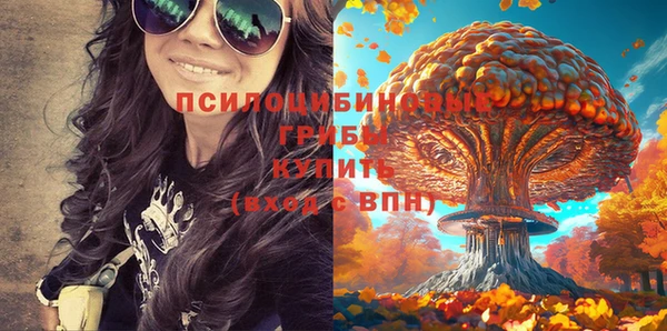 первитин Володарск